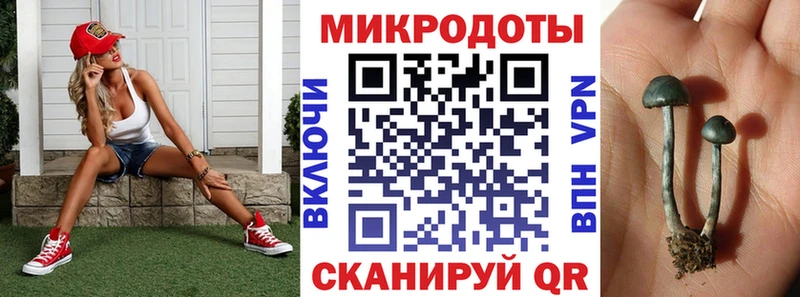 кракен вход  Гулькевичи  Галлюциногенные грибы Magic Shrooms 