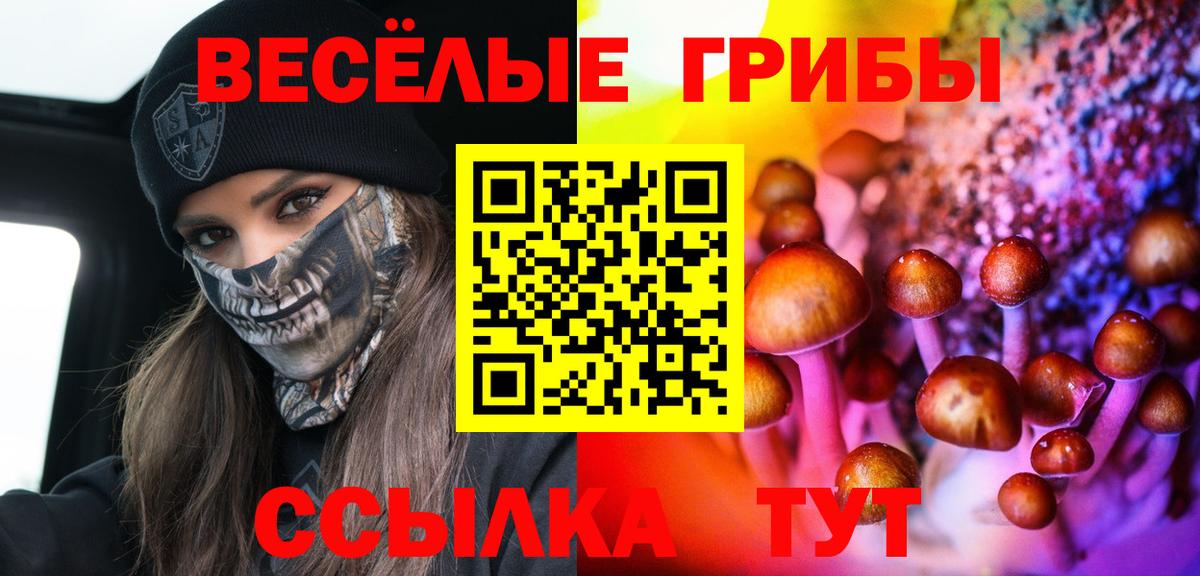 Гулькевичи  Псилоцибиновые грибы Cubensis  Вход с VPN 