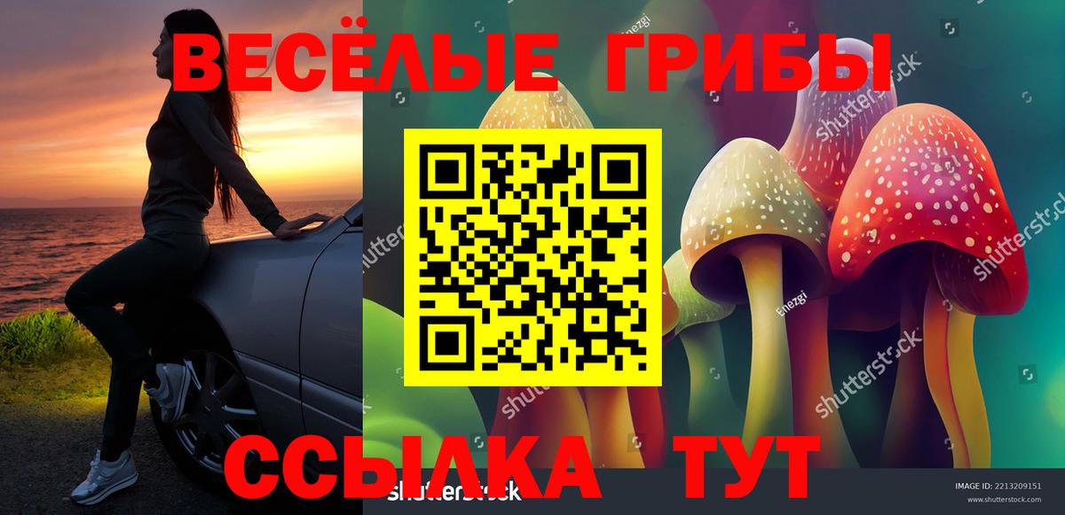 Псилоцибиновые грибы MAGIC MUSHROOMS Гулькевичи